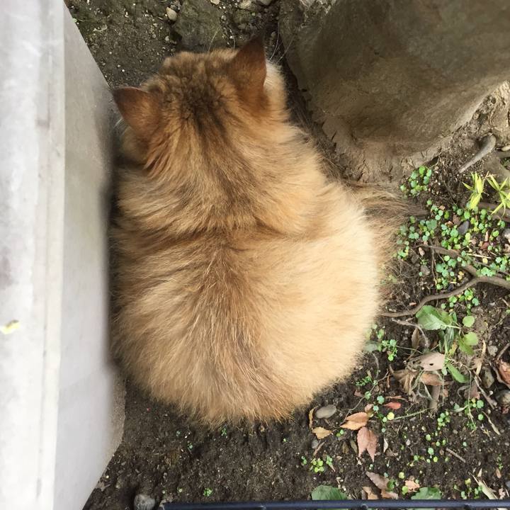 Cfb4ac27 3d23 4283 9b78 ec400ba1cf78 1539905384177