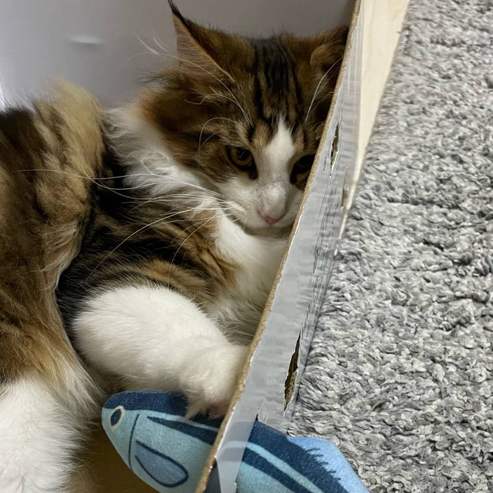 Cfb4b5f8 bdaf 44d8 8b3e ffa7cc6456c0 1639134560094