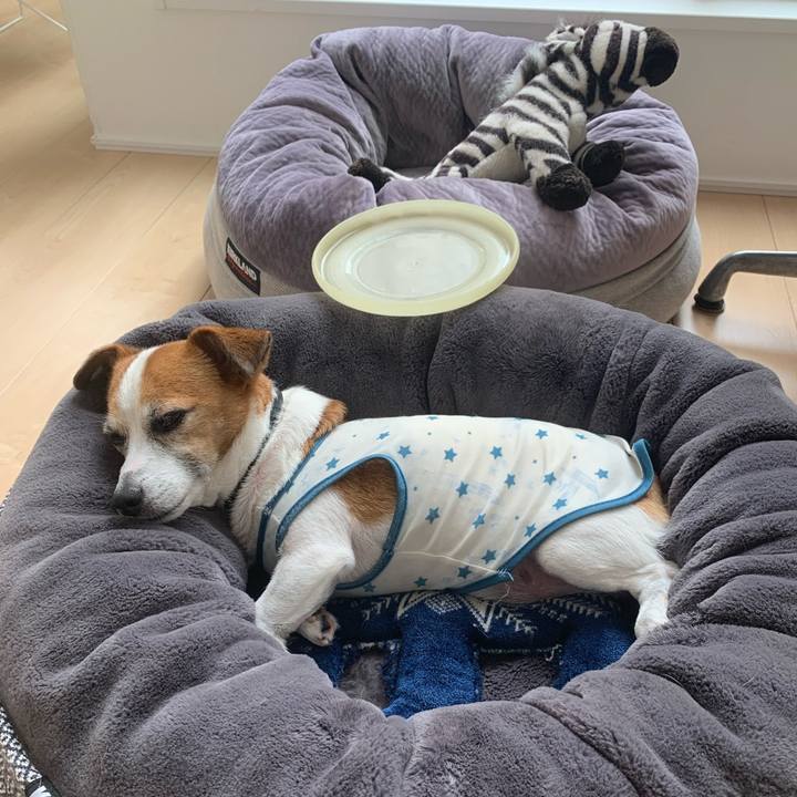 Cfb54146 27fe 455b b912 50b9980506d8 1634004617687