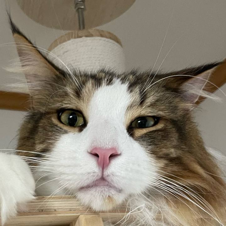 Cfb58b87 a77b 4579 8d49 2934a10f546c 1668198979495