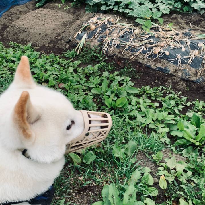 Cfb59f8c ee48 4d86 a5ef 009a8cdbc6f2 1629146123428