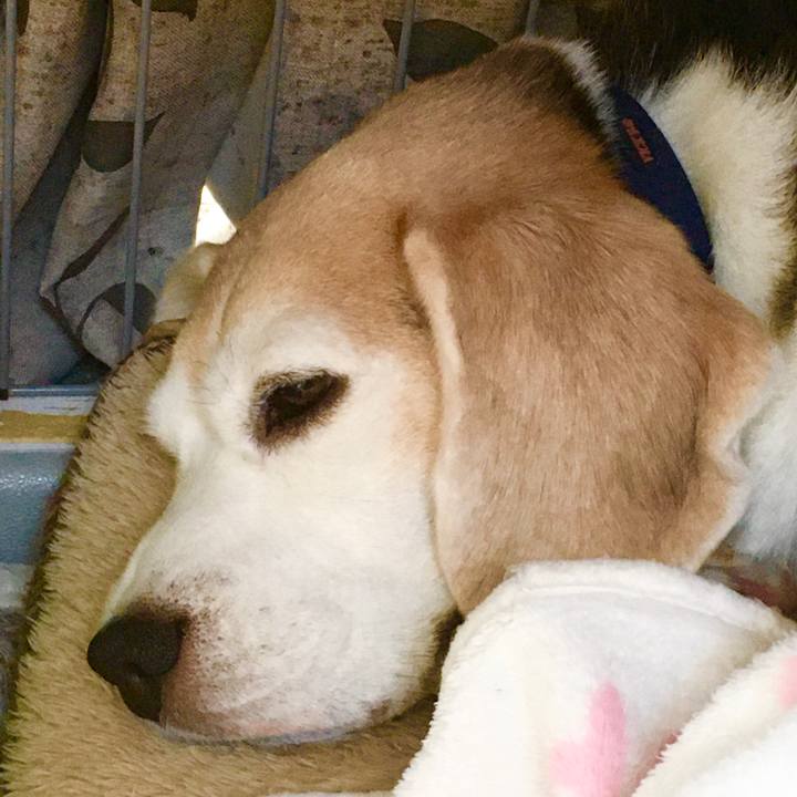 Cfb5bb0a 7857 4238 b8d5 0407389033a4 1575174634362