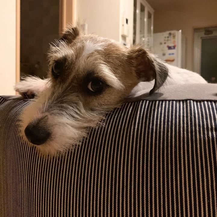 Cfb5d461 9e5b 4e53 86cf 239a9c615b41 1594303689084