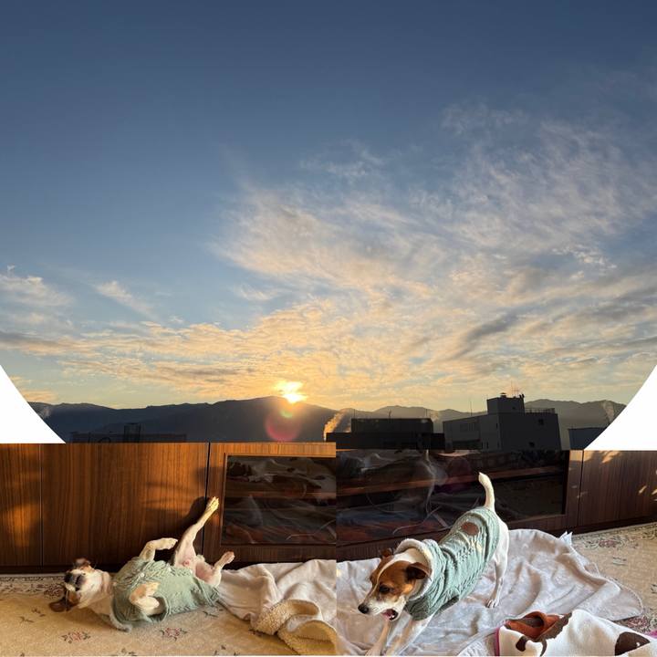 Cfb5d81b 1409 4692 8561 10234b54120f 1767999480101