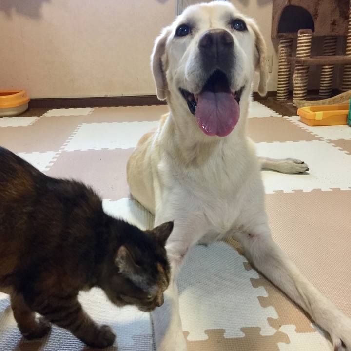 Cfb5f4c3 ebda 463b 8511 9b38fe736071 1660399359813