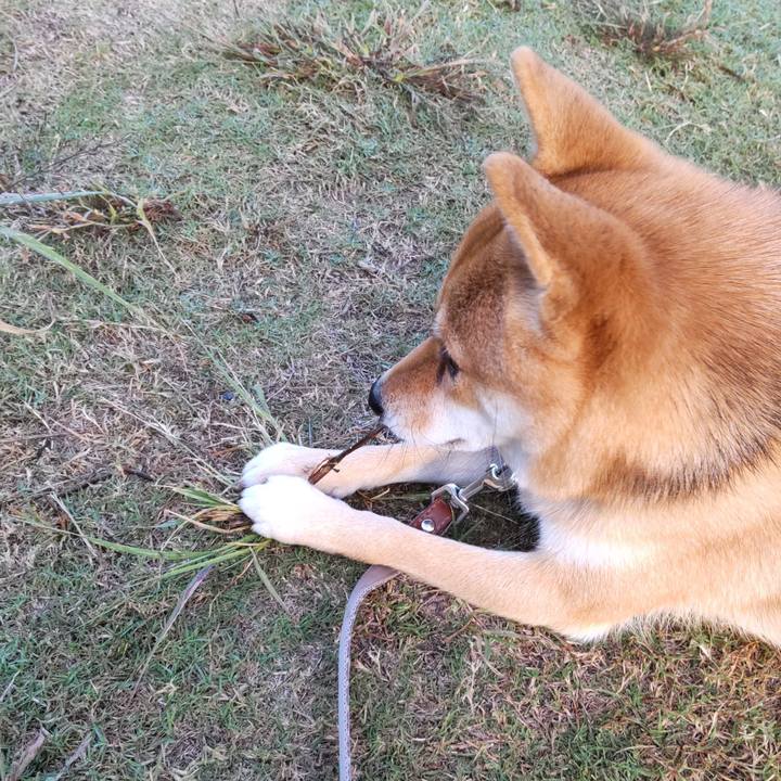 Cfb6127f 0540 4178 9c39 0f2e288f6793 1634600306552