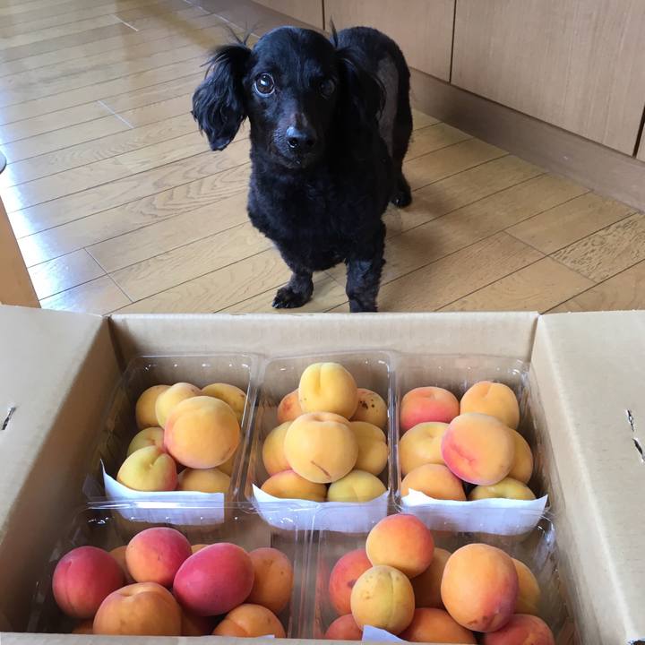 Cfb63b3e 8c50 460b b11c 8a0c69edef5a 1530774354392