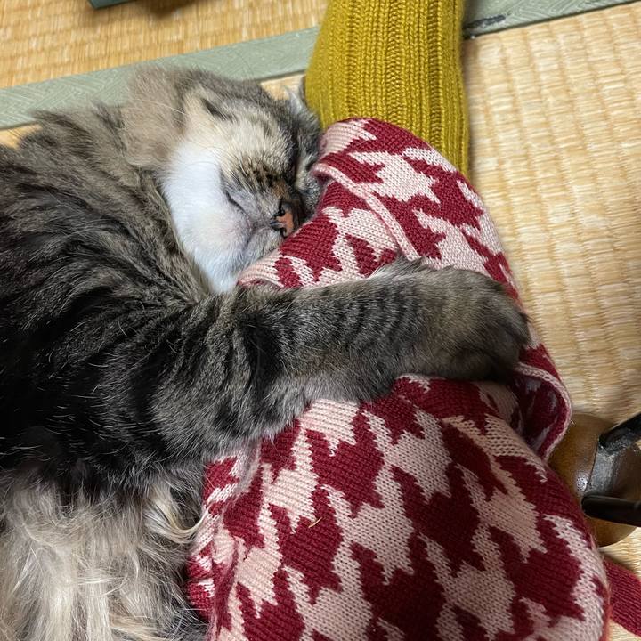 Cfb6445f 4701 4128 ae12 06ee2d092f38 1763040223349