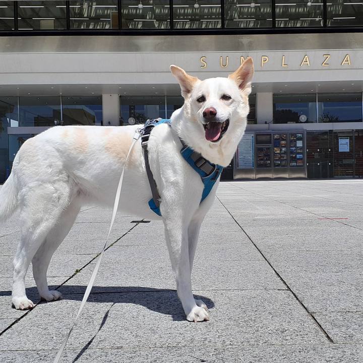 Cfb64aae c333 460c 8ff6 de552f8b59a9 1651296208976