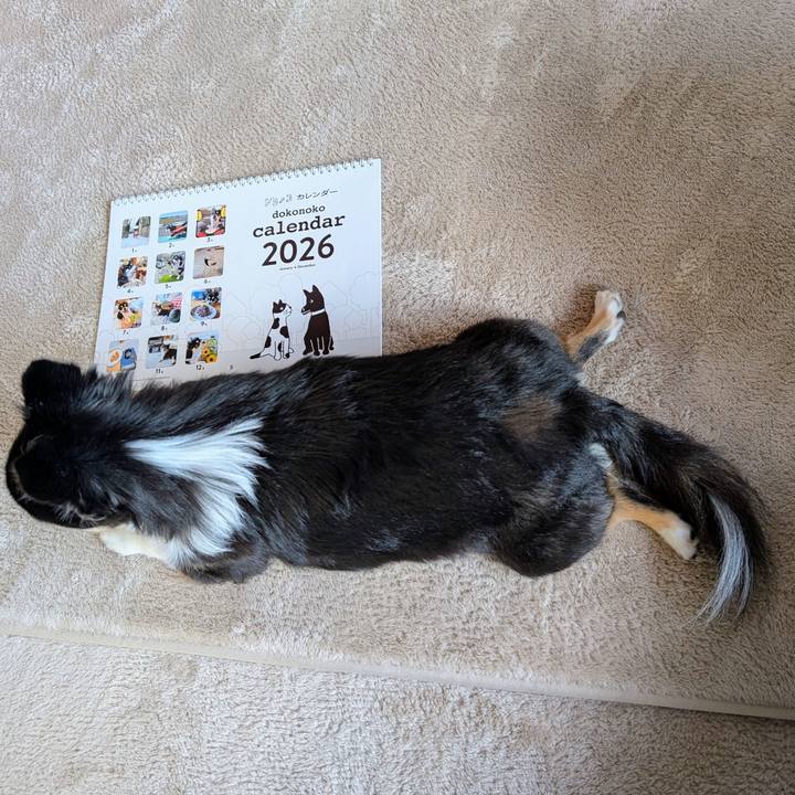 Cfb651cb a398 4ab4 8be4 5679f8d1065c 1765429646786