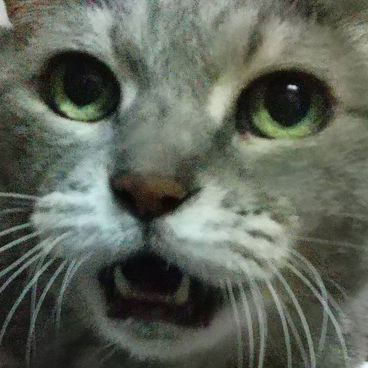 Cfb65768 12a3 4f28 96f0 3b919f33c9e7 1696412877398