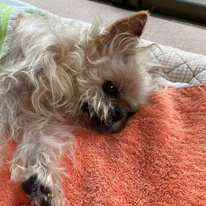 Cfb661d7 33e1 4af4 8089 ced31d8806ad 1622783746615