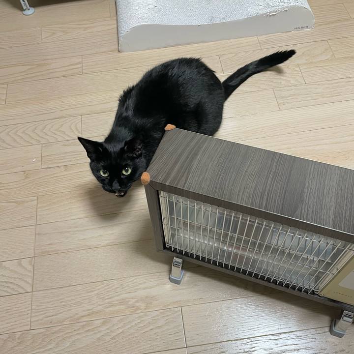 Cfb6637b 2a99 490c b658 ca9a09cee520 1647303328238