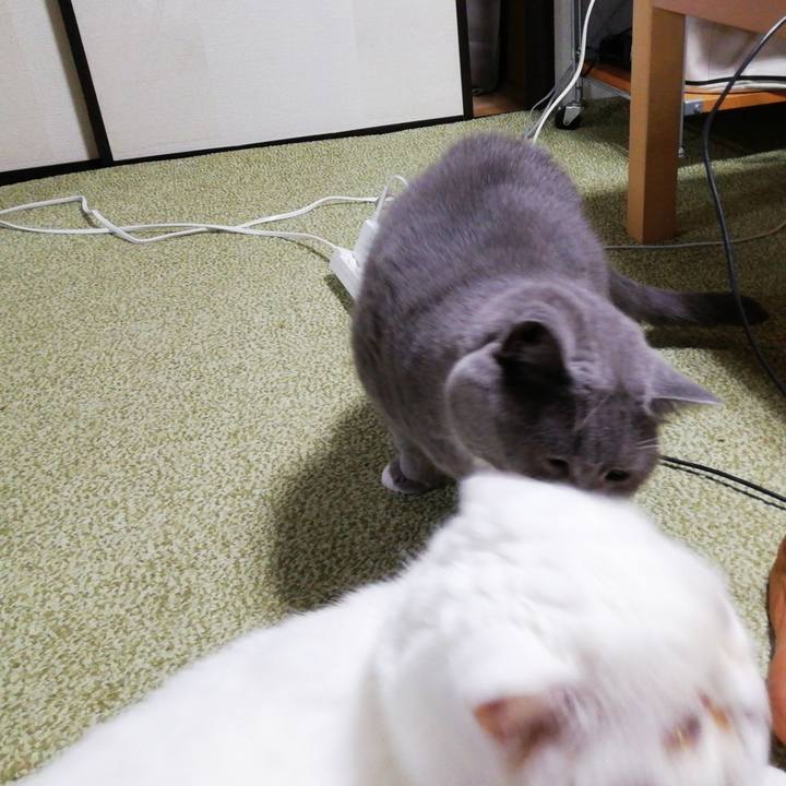 Cfb6d87c bd37 472a b549 f67044d7a363 1752231386012