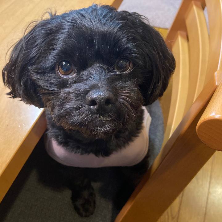 Cfb6dc87 f98a 499f 87ab 361ee2842608 1573708807043