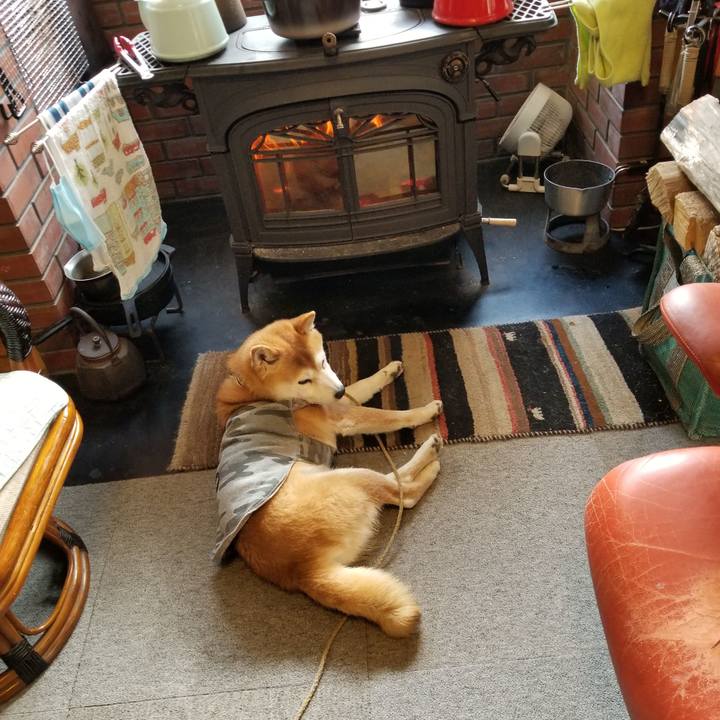 Cfb6ddd5 1e8e 400d 92b4 bce20d84d2ce 1614728880462