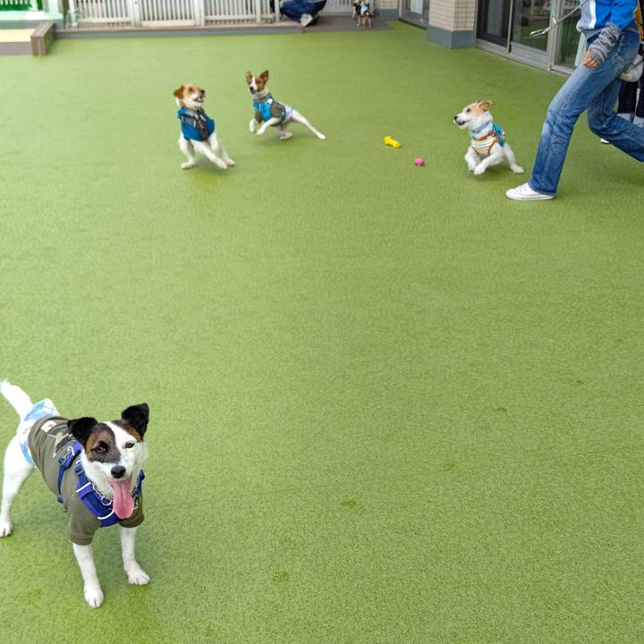 Cfb6e23b 8390 4a82 8cb6 e94b5a09611d 1619513456175