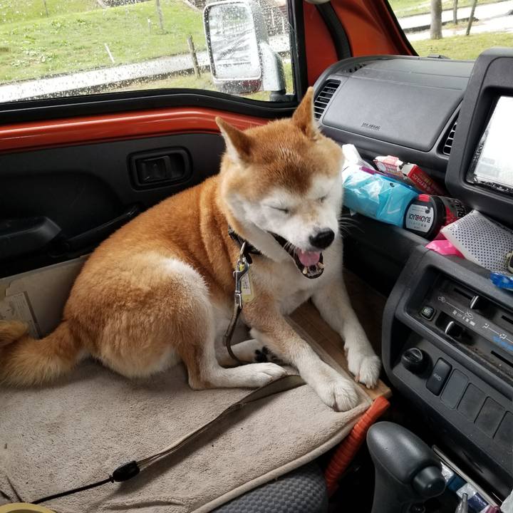 Cfb6f0a1 57eb 49a2 8e01 2f07b475b52a 1665205018883