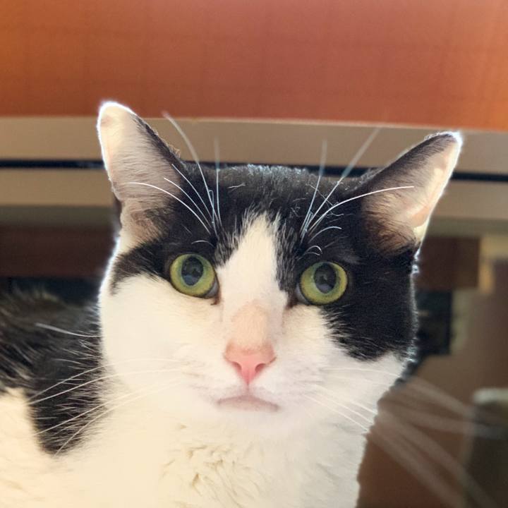 Cfb702c4 c873 4252 93d0 e901b221caee 1591408596774