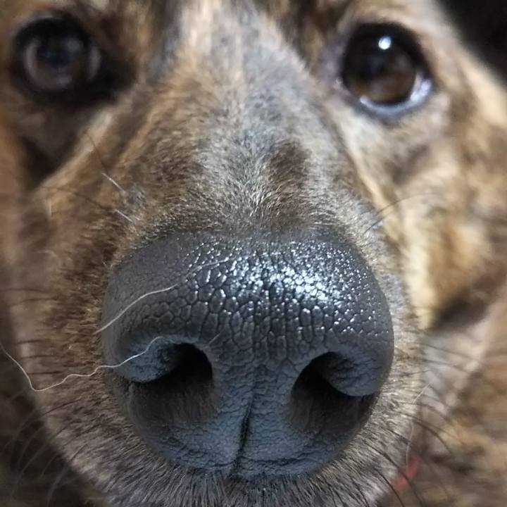 Cfb7066d 99a2 4835 8abe 2873c27a0c12 1523532430561