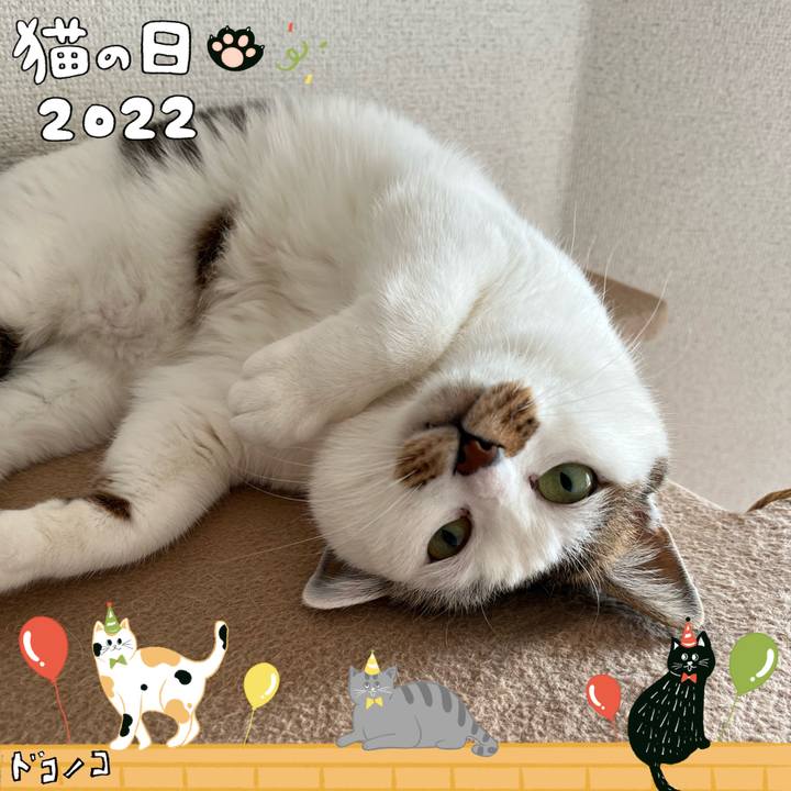 Cfb70822 df14 4562 b835 27910ce13520 1645531359887