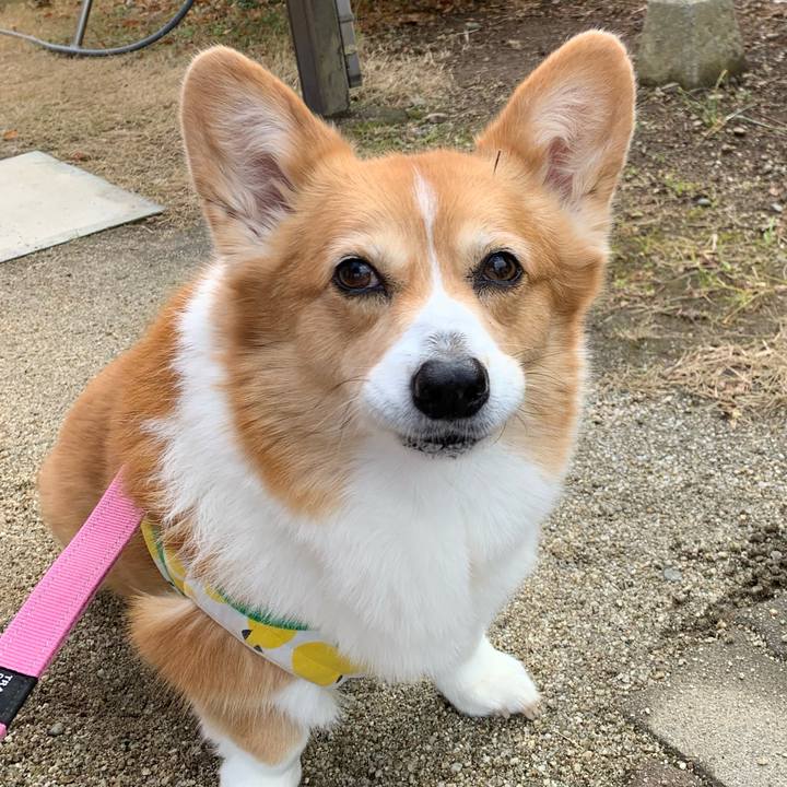 Cfb71319 fc0c 4c12 8475 7e8fbb825dbb 1705979486687