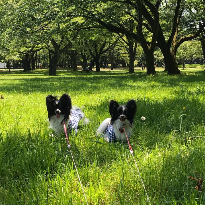 Cfb7319f a623 419b bb76 69fa9fa7a522 1524288577777