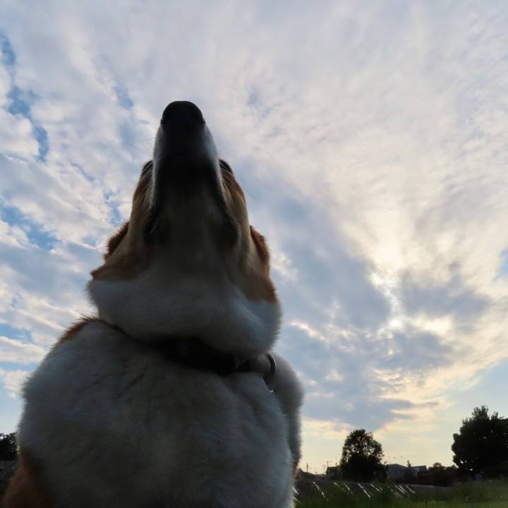 Cfb75828 578f 4aab a0f3 7554c566db43 1654647060652