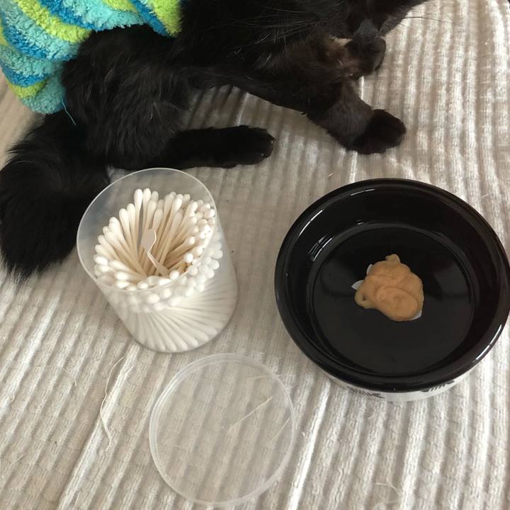 Cfb77286 b976 4994 91cb 9c22a1bd8535 1647121057211