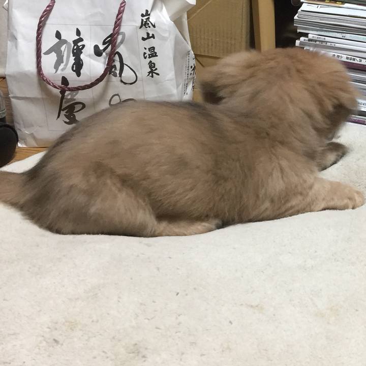 Cfb78a88 f85f 4733 88c2 dc6a38100747 1538951735077