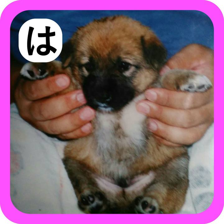 Cfb7aa87 7d79 4af0 bacd 8c59f2f574a6 1515141617420