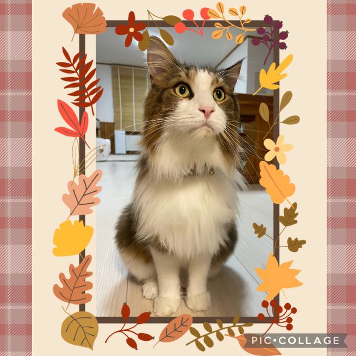 Cfb7ca5b 9af7 4618 a04e 1c818e808a5c 1699391634601