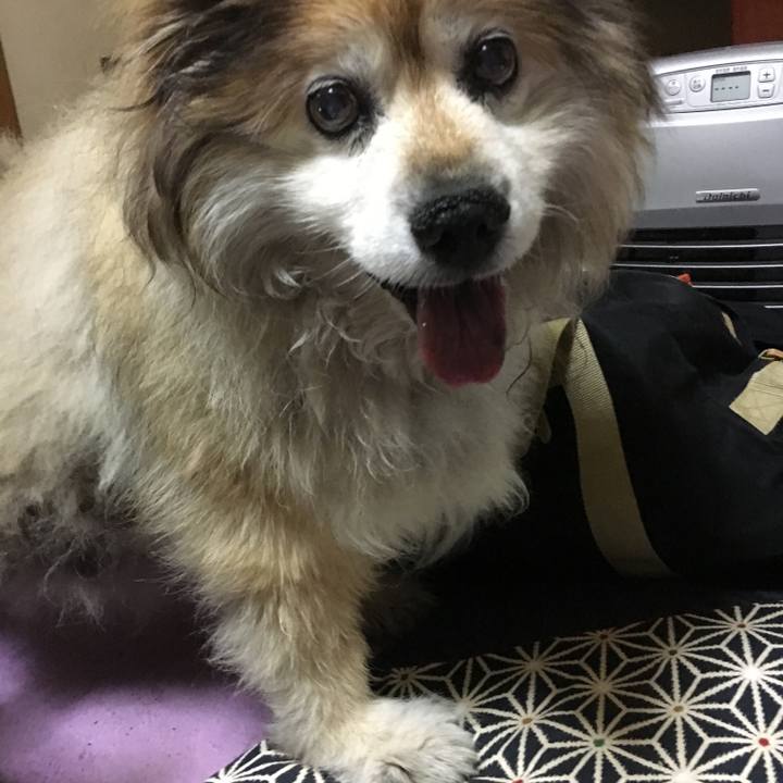 Cfb7f042 e885 4b2b bad7 505ab35593f6 1589788811577