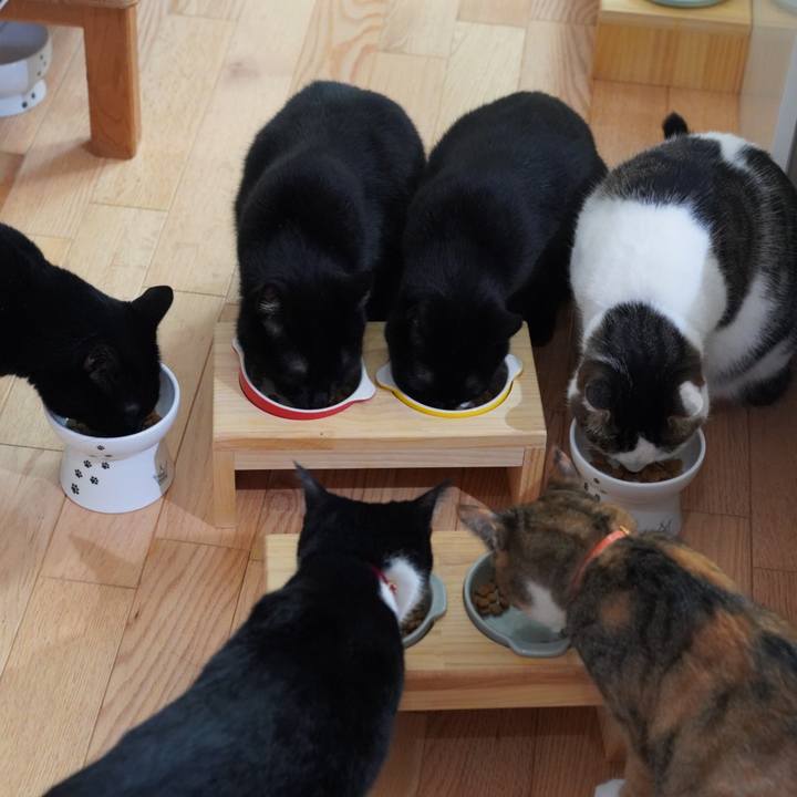 Cfb810ce 7395 4f5e 8efb 7b0977a95838 1624974094627