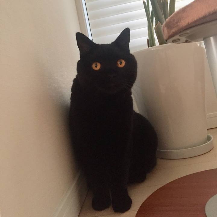 Cfb83ffb b054 4a1c b348 9e0c41c66725 1568537145850