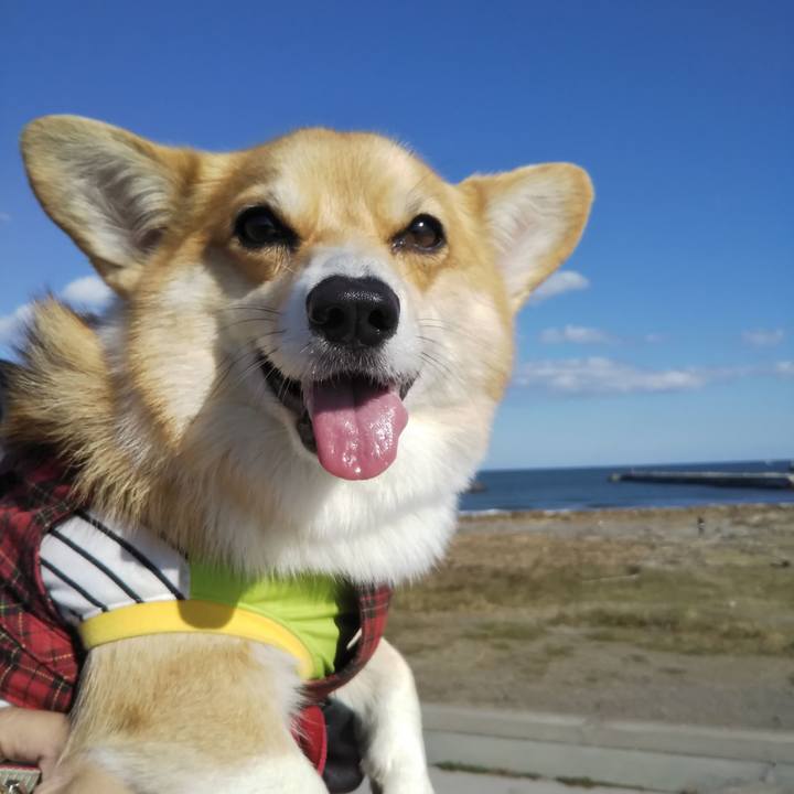 Cfb84fb1 7617 450b 8c4c 9c763b60474d 1572869101920