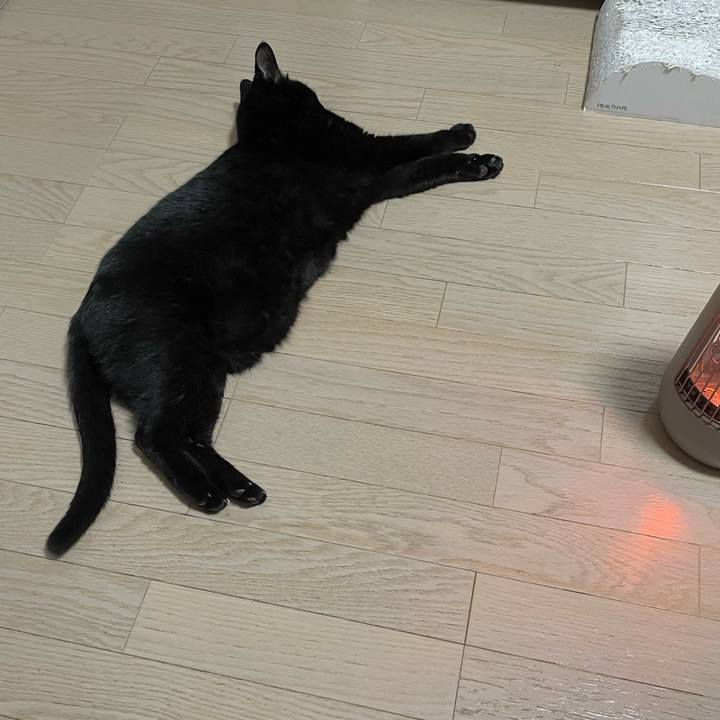 Cfb862d0 6b8d 4916 8ce8 8236de906f59 1773666405743