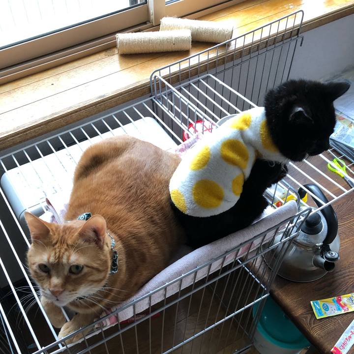 Cfb86bb7 6fe1 4836 a38b f07bf73aa350 1556316940762