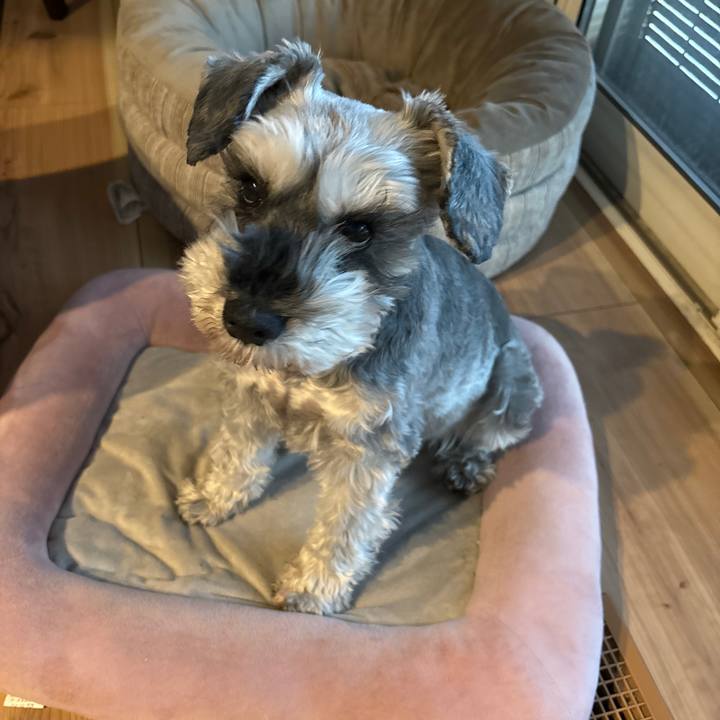 Cfb8736d 8bb2 4673 a6d0 4a46ac46f95f 1703746658669