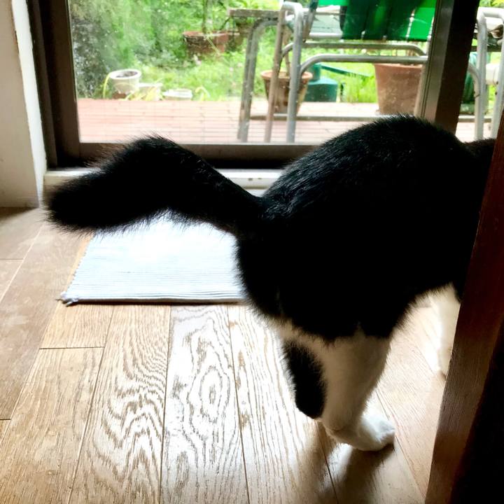 Cfb88a23 37df 4ed8 9bb7 61a4b837d85c 1562904038664