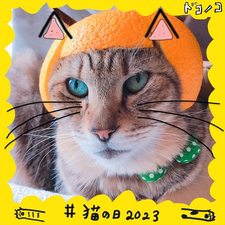 Cfb8ba46 c99b 4167 94f6 0942e4e89493 1677058420508