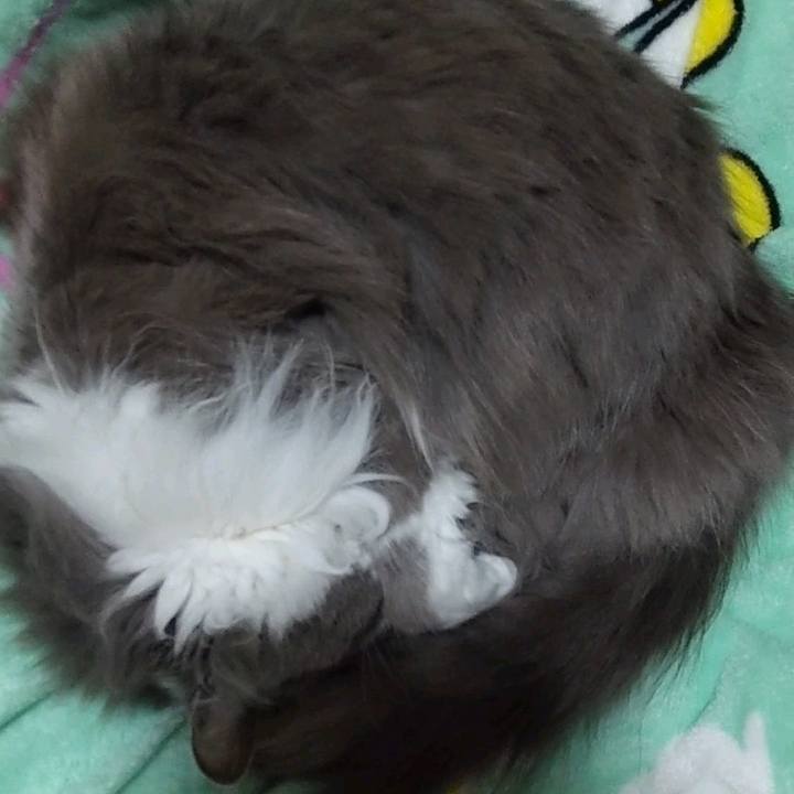 Cfb8cc99 c003 4a4b b29e c7332e083574 1682592182576