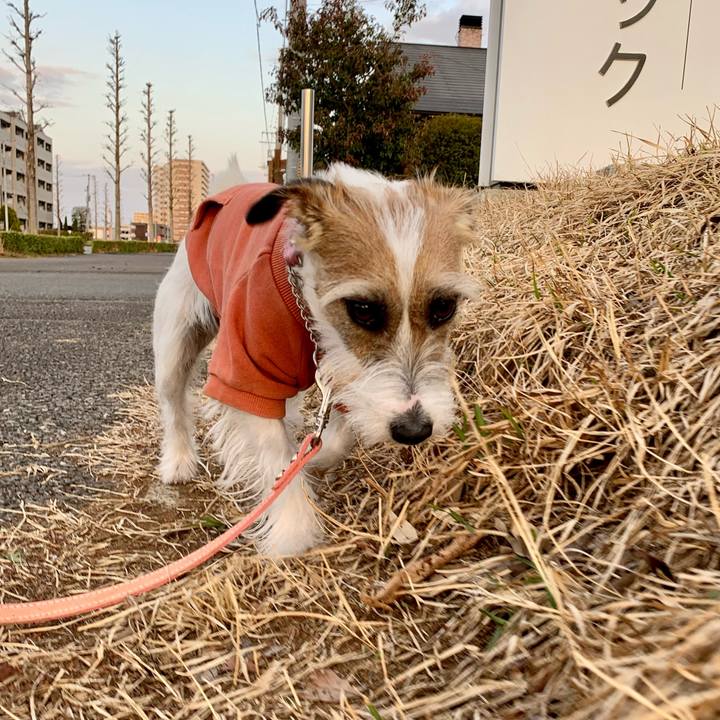 Cfb8d7a1 a175 48fc b50c abff6b2c6855 1617451310296