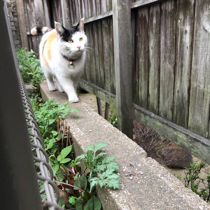 Cfb8dc2b 3573 4233 8a1f 45c02dc86e32 1616153332612