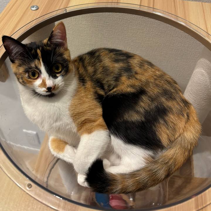 Cfb8ffe3 6884 4593 93ac 7d3f1a905968 1762597318815