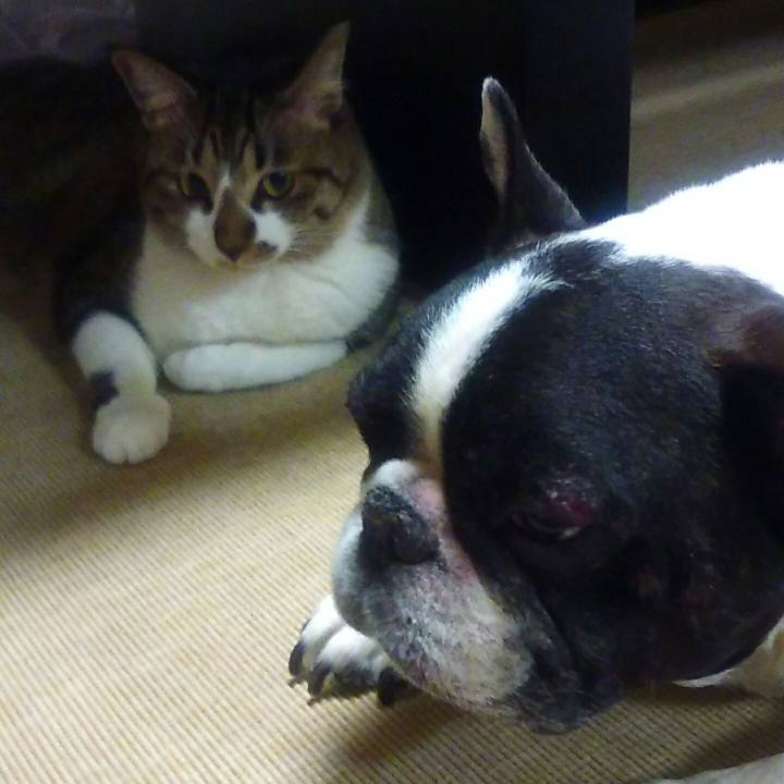 Cfb913c5 dc54 4f2f 9462 2ca3902e34ca 1521643765380