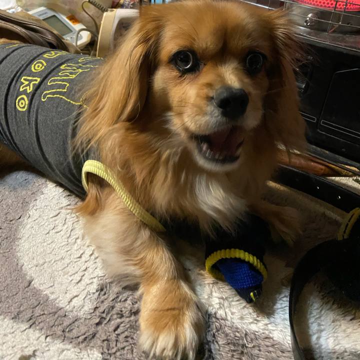 Cfb9313e 4288 4ee8 9ef5 b5557c13f502 1580506189172