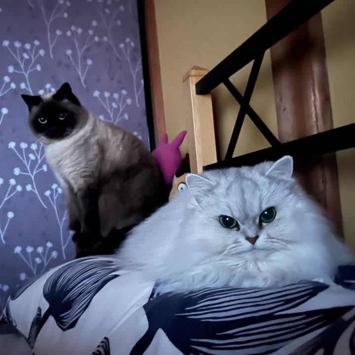 Cfb9751a 01d2 450f a325 01650ecd970a 1643842853593