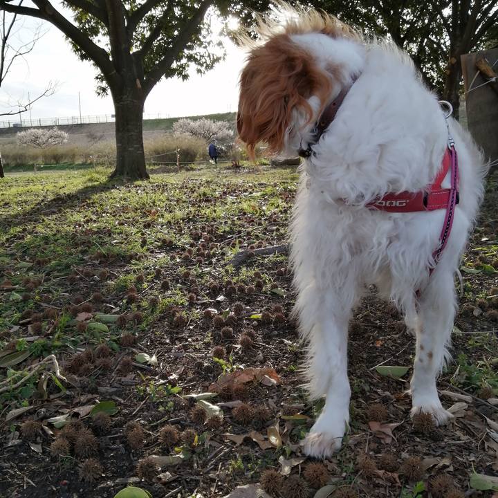 Cfb9a37f f438 4023 98bb d63b9855fb09 1614770235715