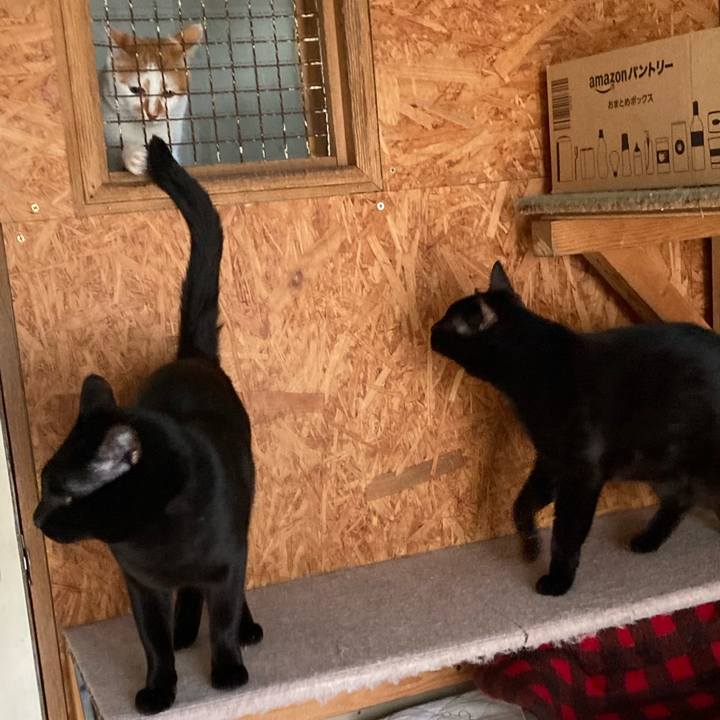 Cfb9cbde 3c47 4d29 a34e bd916b639b5b 1617179340157